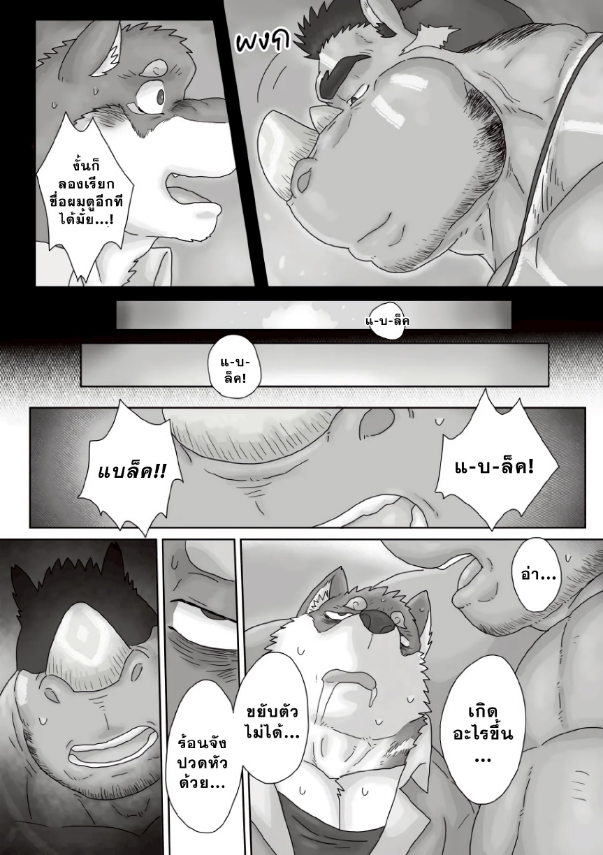 ตามหาสมุนไพร 01-13